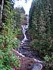 DSC05854