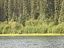 BowronLake09 00223