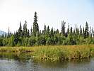 BowronLake09 00228