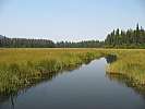 BowronLake09 00237