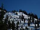DSC07194