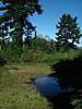 DSC05870
