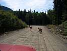 Importierte Fotos 00054