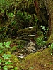 DSC03514