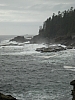 DSC03518