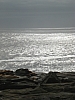 DSC03519