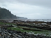 DSC03524