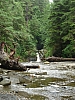 DSC03530