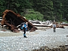 DSC03541
