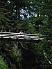 DSC03545