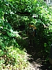 DSC03549