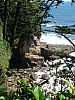 DSC03550