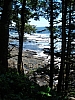 DSC03551