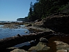 DSC03554