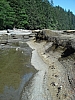 DSC03556