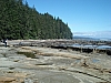DSC03559