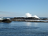 DSC03560