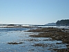 DSC03572