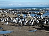 DSC03575