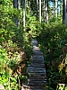 DSC03584
