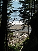 DSC03588