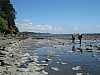 DSC03620