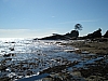 DSC03628