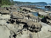 DSC03631