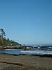 DSC03642