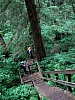 DSC03653