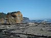 DSC03661
