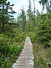 DSC03670