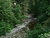 DSC03676