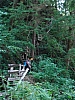 DSC03678