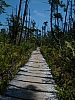 DSC03680