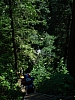 DSC03681