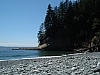 DSC03684