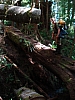 DSC03696