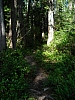 DSC03698