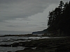 DSC03713
