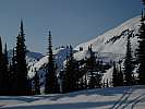 DSC07306