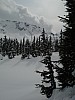 DSC04971