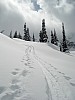 DSC04977