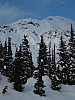 DSC05036