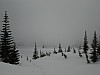 DSC05042