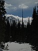DSC05049