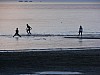 P1020481